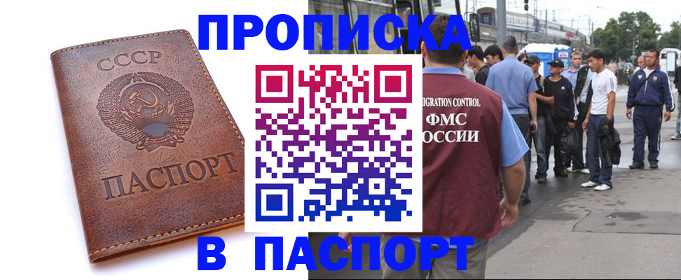 временная регистрация поиск в Лузе